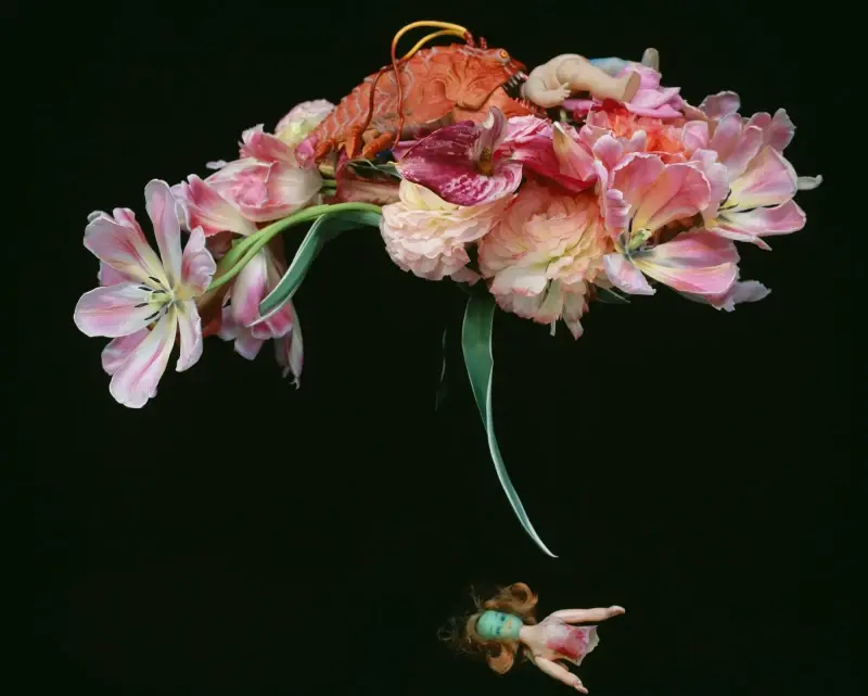 Qaradise by Nobuyoshi Araki