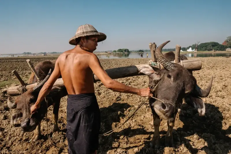 Mandalay Region, Myanmar — Burma. Myanmar. Mandalay. — photo captured with LEICA SL (Typ 601), VARIO-ELMARIT 1:2.8-4.0/24-90mm ASPH. OIS