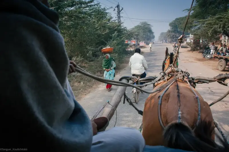 Agra, Uttar Pradesh, India — Agra — 2011 — photo captured with NIKON D700, 24.0-70.0 mm f/2.8