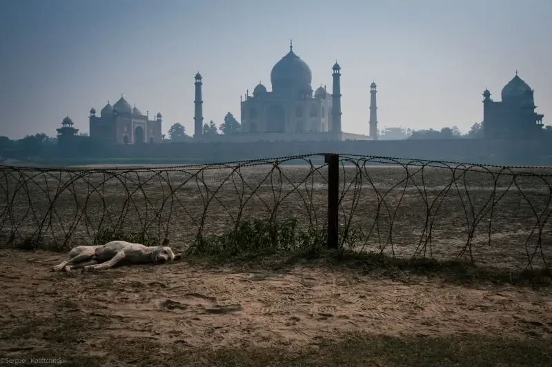 Agra, Uttar Pradesh, India — Agra — 2011 — photo captured with NIKON D700, 24.0-70.0 mm f/2.8