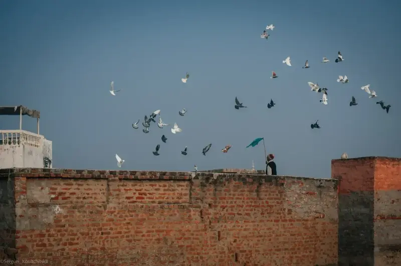 Agra, Uttar Pradesh, India — Agra — 2011 — photo captured with NIKON D700, 24.0-70.0 mm f/2.8