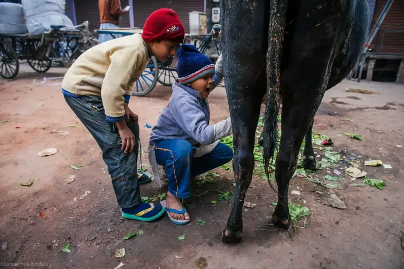 Agra, Uttar Pradesh, India — Agra — 2011 — photo captured with NIKON D3, 24.0-70.0 mm f/2.8