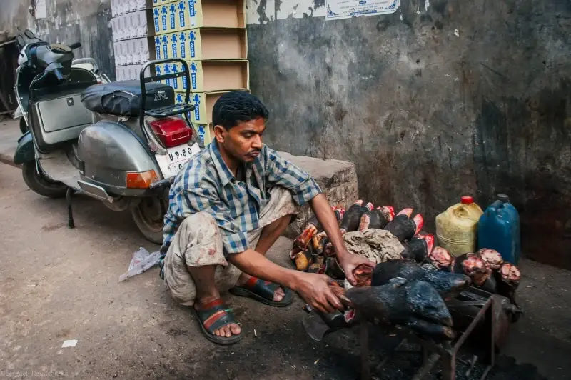 Agra, Uttar Pradesh, India — Agra — 2011 — photo captured with NIKON D3, 24.0-70.0 mm f/2.8