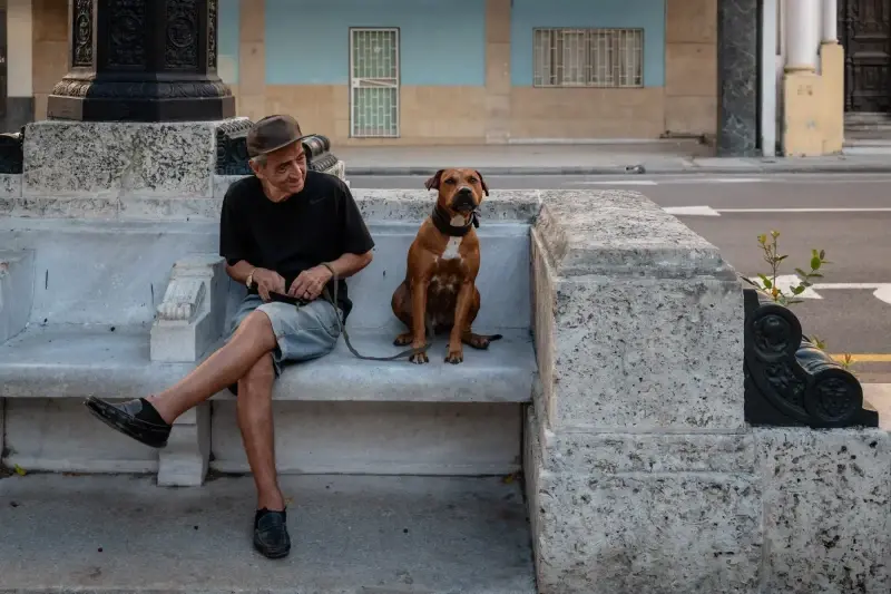 Paseo del Prado, Centro Habana, Havana, Cuba — La Habana. Paseo del Prado — фото знято на LEICA SL (Typ 601), VARIO-ELMARIT-SL 1:2.8-4/24-90 ASPH.