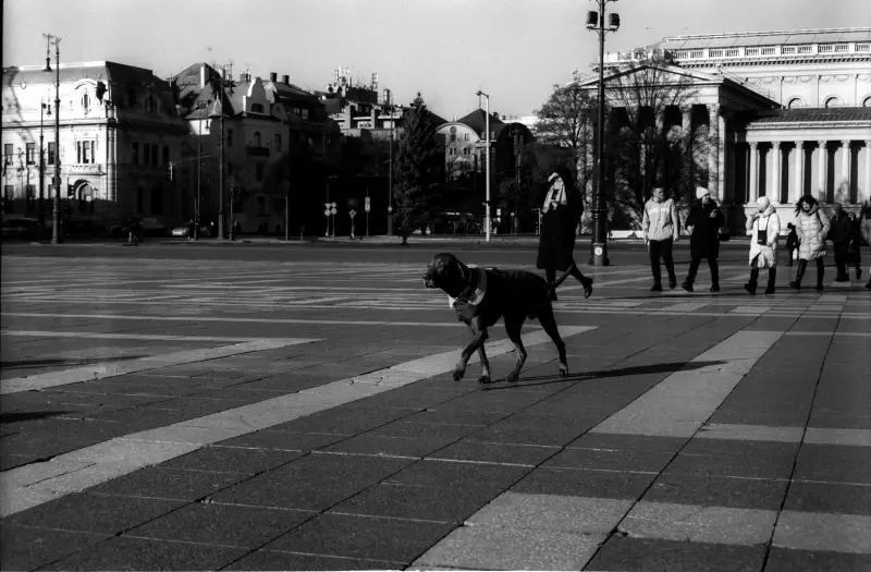 Budapest, Hungary — Winter Budapest on Fomapan & Orwo — photo captured with LS-4000