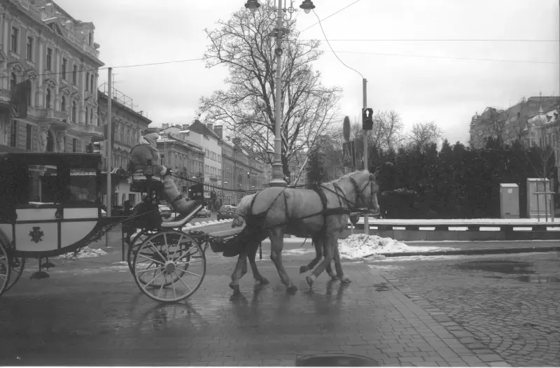 Plosha Rynok, Lviv, Lviv Oblast, Ukraine — Winter in Lviv — photo captured with LS-4000