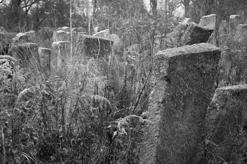 Album: Sadhora Synagogue and the old Jewish cemetery in Chernivtsi
