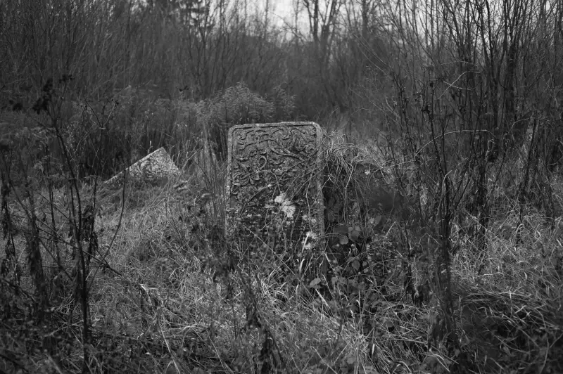 Album: Sadhora Synagogue and the old Jewish cemetery in Chernivtsi