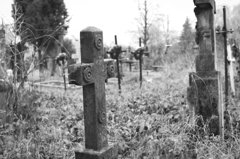 Album: Sadhora Synagogue and the old Jewish cemetery in Chernivtsi