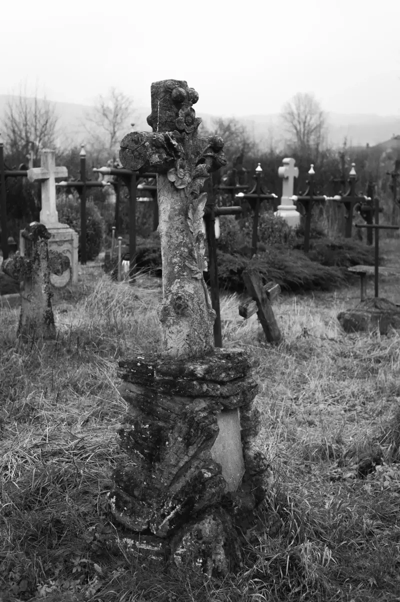 Album: Sadhora Synagogue and the old Jewish cemetery in Chernivtsi