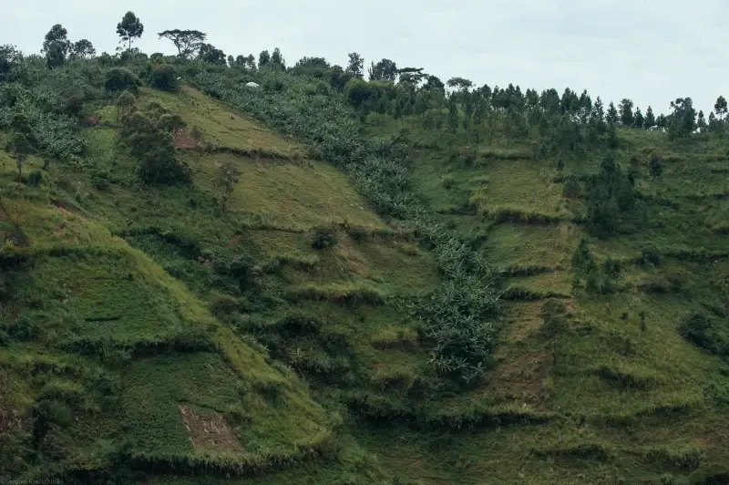 Eastern Region, Uganda — Uganda. People.