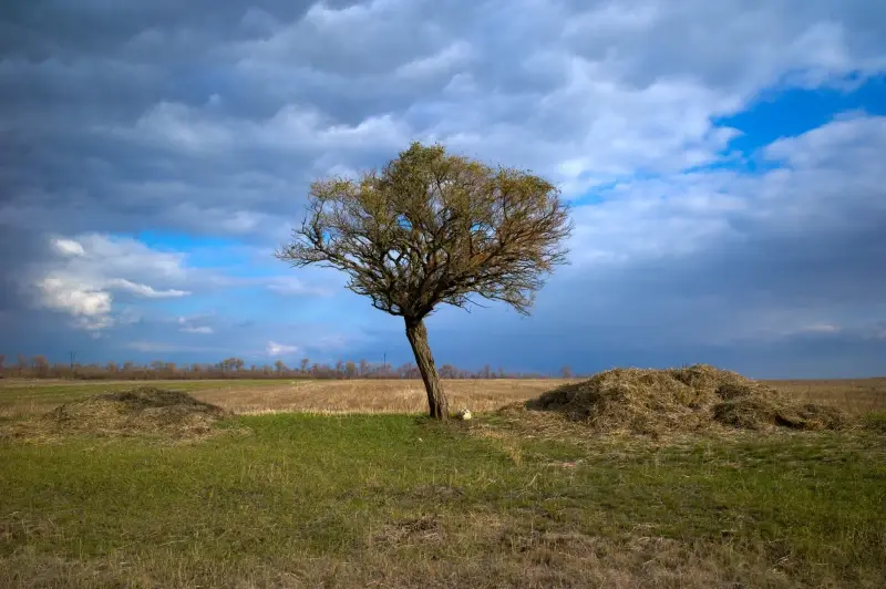 Donetsk Oblast, Ukraine — Маріуполь-Волноваха — photo captured with M9 Digital Camera, Elmarit-M 28mm f/2.8 ASPH.