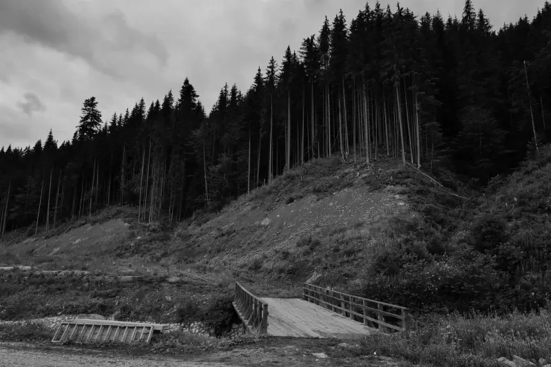 Polianytsia Bukovel, Ivano Frankivsk Oblast, Ukraine — Мій Буковель — photo captured with LEICA Q2, SUMMILUX 1:1.7/28 ASPH.